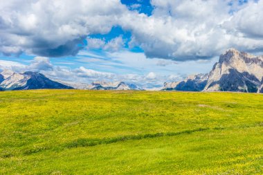 İtalya, Alpe di Siusi, Seiser Alm ve Sassolungo Langkofel Dolomite arka planda dağ olan bir tarla.