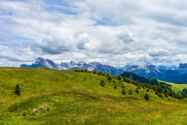 İtalya, Alpe di Siusi, Seiser Alm Sassolungo Langkofel Dolomite ile birlikte, arkasında dağ olan büyük yeşil bir tarla.