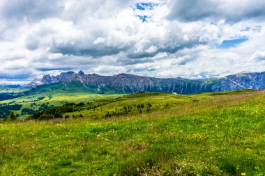 İtalya, Alpe di Siusi, Seiser Alm Sassolungo Langkofel Dolomite ile birlikte, arkasında dağ olan büyük yeşil bir tarla.