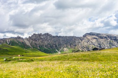 İtalya, Alpe di Siusi, Seiser Alm Sassolungo Langkofel Dolomite ile birlikte, arkasında dağ olan büyük yeşil bir tarla.