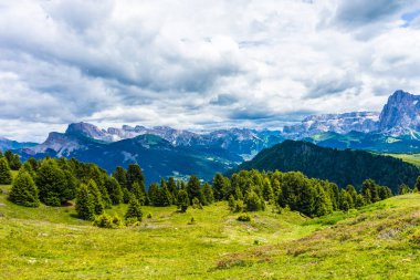 İtalya, Alpe di Siusi, Seiser Alm Sassolungo Langkofel Dolomite ile birlikte, arkasında dağ olan büyük yeşil bir tarla.