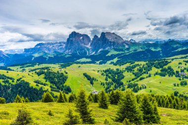 İtalya, Alpe di Siusi, Seiser Alm Sassolungo Langkofel Dolomite ile birlikte, arkasında dağ olan büyük yeşil bir tarla.