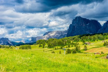 İtalya, Alpe di Siusi, Seiser Alm Sassolungo Langkofel Dolomite ile birlikte, arkasında dağ olan büyük yeşil bir tarla.