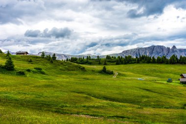 Alpe di Siusi, Seiser Sadm ve Sassolungo Langkofel Dolomite, vadi kanyonundaki yemyeşil bir arazinin yakın çekimi.