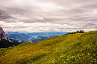 İtalya, Alpe di Siusi, Seiser Alm ve Sassolungo Langkofel Dolomite, çimenli bir tepe manzarası.