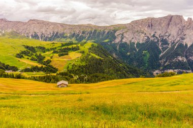 İtalya, Alpe di Siusi, Seiser Alm Sassolungo Langkofel Dolomite ile birlikte, arkasında dağ olan büyük yeşil bir tarla.
