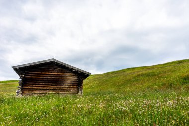 İtalya, Alpe di Siusi, Seiser Alm Sassolungo Langkofel Dolomite ile, çim tarlası olan bir ev.
