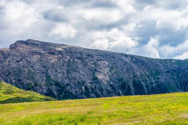 İtalya, Alpe di Siusi, Seiser Alm Sassolungo Langkofel Dolomite ile birlikte, arkasında dağ olan büyük yeşil bir tarla.