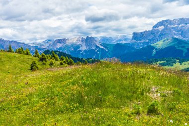 İtalya, Alpe di Siusi, Seiser Alm Sassolungo Langkofel Dolomite ile birlikte, arkasında dağ olan büyük yeşil bir tarla.