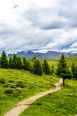 Alpe di Siusi, Seiser Alm Sassolungo Langkofel Dolomite ile birlikte, yemyeşil bir tarlada yayan bir yürüyüş yolu.