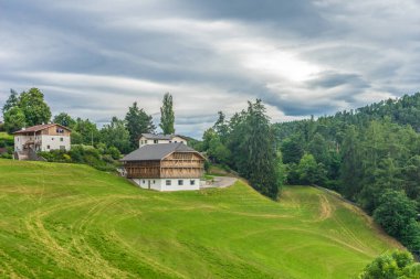 İtalya, Alpe di Siusi, Seiser Alm ve Sassolungo Langkofel Dolomite. Arka planda ağaçlar olan büyük yeşil bir alan.