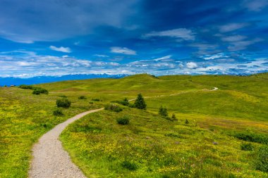 Alpe di Siusi, Seiser Sadm ve Sassolungo Langkofel Dolomite, yemyeşil bir tarlada dolambaçlı bir yol.