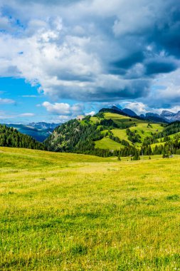 İtalya, Alpe di Siusi, Seiser Alm Sassolungo Langkofel Dolomite ile birlikte, arkasında dağ olan büyük yeşil bir tarla.