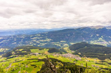 İtalya, Alpe di Siusi, Seiser Alm Sassolungo Langkofel Dolomite ile birlikte, arkasında dağ olan büyük yeşil bir tarla.