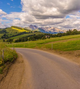 İtalya, Alpe di Siusi, Seiser Alm ve Sassolungo Langkofel Dolomite, bir dağ yolu manzarası.