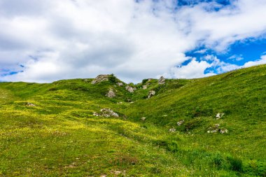 İtalya, Alpe di Siusi, Seiser Alm Sassolungo Langkofel Dolomite ile, çimenli bir tepenin yakınında.