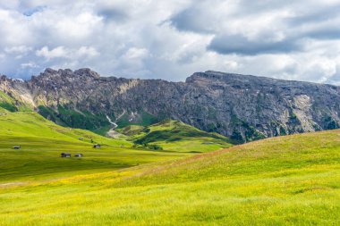 İtalya, Alpe di Siusi, Seiser Alm Sassolungo Langkofel Dolomite ile birlikte, arkasında dağ olan büyük yeşil bir tarla.