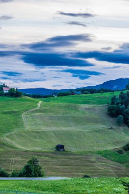 Italy, Alpe di Siusi, Seiser Alm with Sassolungo Langkofel Dolomite, a river running through a grassy field clipart