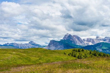 İtalya, Alpe di Siusi, Seiser Alm Sassolungo Langkofel Dolomite ile birlikte, arkasında dağ olan büyük yeşil bir tarla.