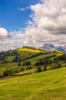 İtalya, Alpe di Siusi, Seiser Alm Sassolungo Langkofel Dolomite ile, çimenli bir tepede bir grup bulut.