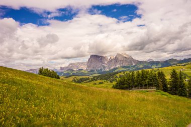İtalya, Alpe di Siusi, Seiser Alm Sassolungo Langkofel Dolomite ile birlikte, arkasında dağ olan büyük yeşil bir tarla.
