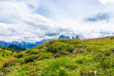 İtalya, Alpe di Siusi, Seiser Alm Sassolungo Langkofel Dolomite ile birlikte, arkasında dağ olan büyük yeşil bir tarla.