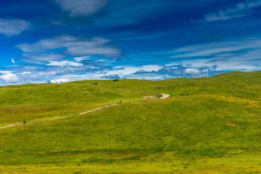 Alpe di Siusi, Seiser Sadm ve Sassolungo Langkofel Dolomite, yemyeşil bir tarlada dolambaçlı bir yol.