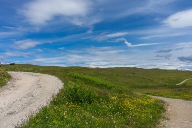 Alpe di Siusi, Seiser Sadm ve Sassolungo Langkofel Dolomite, yemyeşil bir tarlada dolambaçlı bir yol.