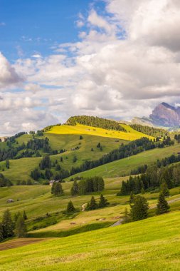 İtalya, Alpe di Siusi, Seiser Alm Sassolungo Langkofel Dolomite ile birlikte, arkasında dağ olan büyük yeşil bir tarla.