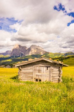 İtalya, Alpe di Siusi, Seiser Alm Sassolungo Langkofel Dolomite ile, tarlada eski bir ahır.