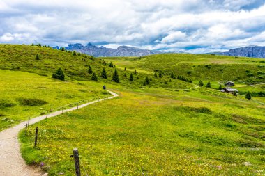 Alpe di Siusi, Seiser Alm Sassolungo Langkofel Dolomite ile birlikte, yemyeşil bir tarlada yayan bir yürüyüş yolu.
