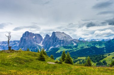 İtalya, Alpe di Siusi, Seiser Alm Sassolungo Langkofel Dolomite ile birlikte, arkasında dağ olan büyük yeşil bir tarla.