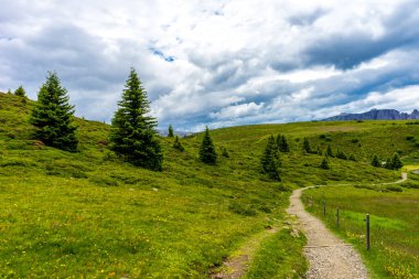Alpe di Siusi, Seiser Alm Sassolungo Langkofel Dolomite ile birlikte, yemyeşil bir tarlada yayan bir yürüyüş yolu.