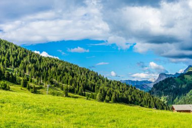 İtalya, Alpe di Siusi, Seiser Alm Sassolungo Langkofel Dolomite ile birlikte, arkasında dağ olan büyük yeşil bir tarla.