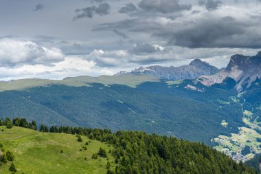 İtalya, Alpe di Siusi, Seiser Alm Sassolungo Langkofel Dolomite ile birlikte, arkasında dağ olan büyük yeşil bir tarla.