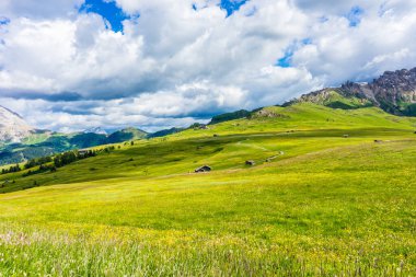 İtalya, Alpe di Siusi, Seiser Alm Sassolungo Langkofel Dolomite ile birlikte, arkasında dağ olan büyük yeşil bir tarla.