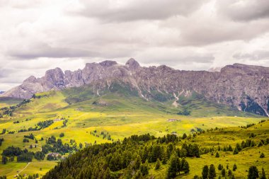 İtalya, Alpe di Siusi, Seiser Alm Sassolungo Langkofel Dolomite ile birlikte, arkasında dağ olan büyük yeşil bir tarla.