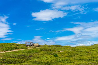 İtalya, Alpe di Siusi, Seiser Alm ve Sassolungo Langkofel Dolomite. Arka planda ağaçlar olan büyük yeşil bir alan.