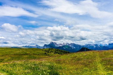İtalya, Alpe di Siusi, Seiser Alm Sassolungo Langkofel Dolomite ile birlikte, arkasında dağ olan büyük yeşil bir tarla.