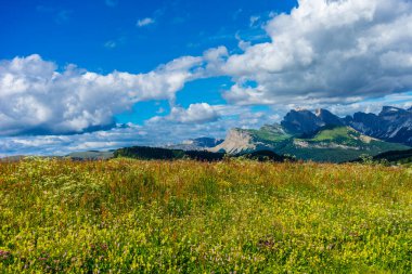 İtalya, Alpe di Siusi, Seiser Alm Sassolungo Langkofel Dolomite ile birlikte, arkasında dağ olan büyük yeşil bir tarla.