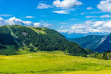 İtalya, Alpe di Siusi, Seiser Alm Sassolungo Langkofel Dolomite ile birlikte, arkasında dağ olan büyük yeşil bir tarla.