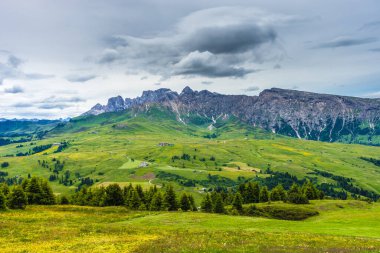 İtalya, Alpe di Siusi, Seiser Alm Sassolungo Langkofel Dolomite ile birlikte, arkasında dağ olan büyük yeşil bir tarla.