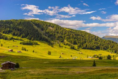 Alpe di Siusi, Seiser Alm ve Sassolungo Langkofel Dolomite, vadi kanyonundaki yemyeşil bir arazinin yakınlarındaydılar.