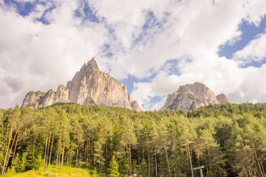 İtalya, Alpe di Siusi, Seiser Alm Sassolungo Langkofel Dolomite ile birlikte arka planda dağ olan bir ağaç.