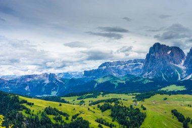 İtalya, Alpe di Siusi, Seiser Alm Sassolungo Langkofel Dolomite ile birlikte, arkasında dağ olan büyük yeşil bir tarla.