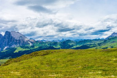 İtalya, Alpe di Siusi, Seiser Alm Sassolungo Langkofel Dolomite ile birlikte, arkasında dağ olan büyük yeşil bir tarla.