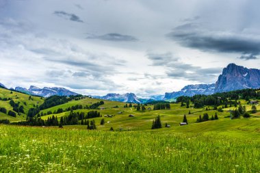 Alpe di Siusi, Seiser Sadm ile Sassolungo Langkofel Dolomite, yemyeşil alan