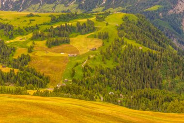 İtalya, Alpe di Siusi, Seiser Alm Sassolungo Langkofel Dolomite ile birlikte, yemyeşil bir yamaçta.