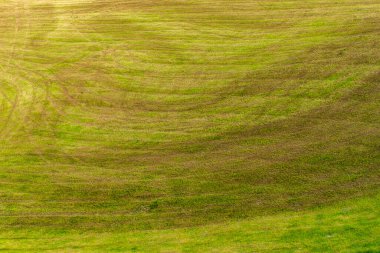 İtalya, Alpe di Siusi, Seiser Sadm ve Sassolungo Langkofel Dolomite,