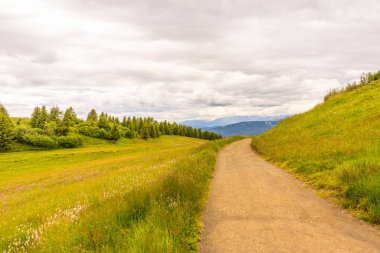 Alpe di Siusi, Seiser Alm Sassolungo Langkofel Dolomite ile birlikte, yemyeşil bir tarlada yayan bir yürüyüş yolu.